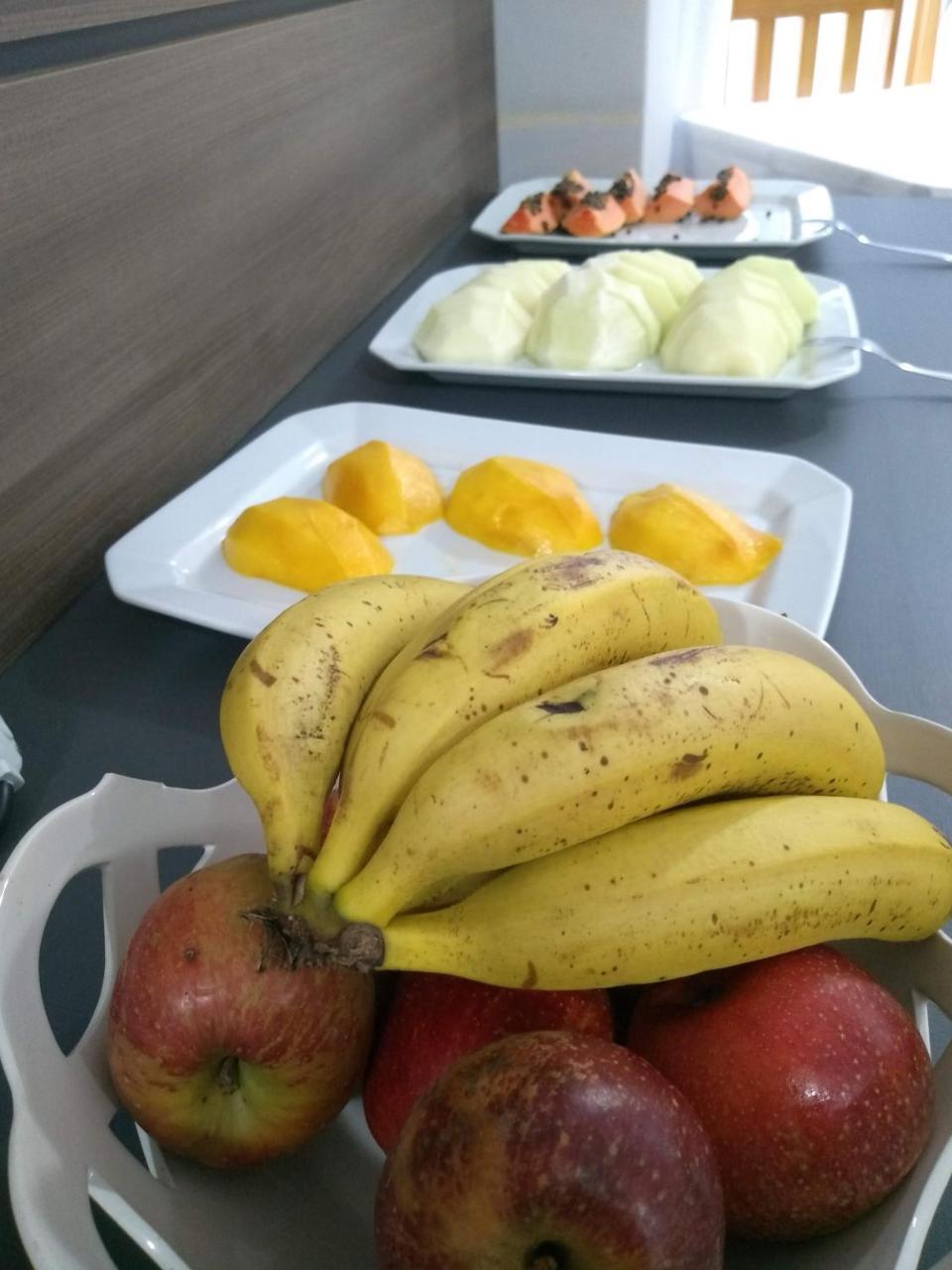 Hotel Mariluz Telemaco Borba Экстерьер фото
